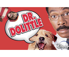 Dr Dolittle