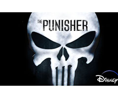 Punisher, The